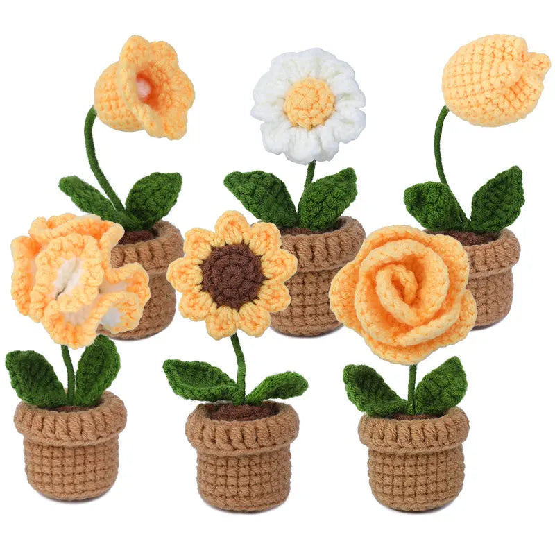 KRABALL Crochet Potted Flower Kit – 6pcs Beginner Set with Tools & Tutorial