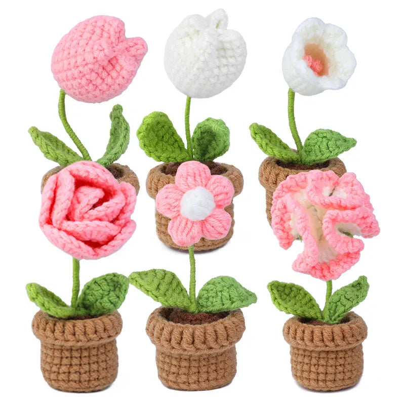 KRABALL Crochet Potted Flower Kit – 6pcs Beginner Set with Tools & Tutorial