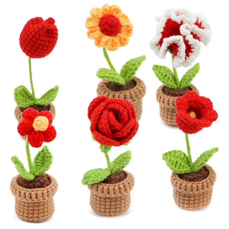 KRABALL Crochet Potted Flower Kit – 6pcs Beginner Set with Tools & Tutorial